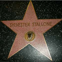 Hollywood Star for Sylvester Stallone in California